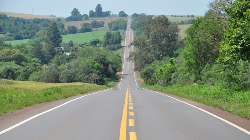 Foto de uma rodovia de mão dupla, cercada de vegetação verde, sem veículos circulando, durante o dia.